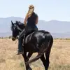 Kaitlynn Gill - @kaitlynn.gill0 - TikTok