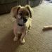 Kaitlyn Griffith - Facebook