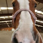 Katelyn Halverson - Facebook