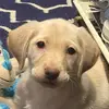 Kaitlyn - @kaitlyn_hatfield - TikTok