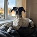 Kaitlyn Jacobs - Facebook