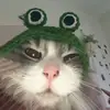 Kaitlyn 🦎 - @kaitlynjayne16 - TikTok