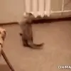 kaitlynkeith4 - @kaitlynkeith4 - TikTok