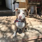 Katlin Layton - Facebook