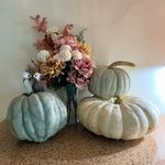 Kaitlyn Morse - @___coffeecat___ - Instagram