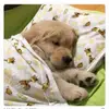 user57512758452398 - @kaitlynmorsedhrdvm - TikTok