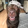 kaitlyn.mortimer - @katem4788 - TikTok