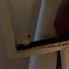 kaitlynnew - @kaitlynnew - TikTok