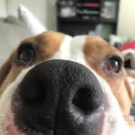 Kaitlyn Oates - Facebook