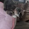 kaitlynnruff2 - @kaitlynnruff2 - TikTok