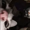 kaitlynnruff - @kaitlynnruff - TikTok