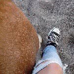 Kaitlyn&Sam - @just.horse.thingss - Instagram