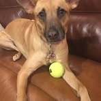 Kaitlyn Soper - Facebook