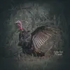 Kaitlyn Steele Photography - @k.steele_photography - TikTok