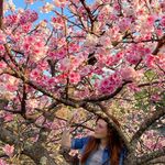 Kaitlyn Warner - @music_lover7570 - Instagram
