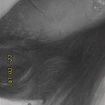 @k.aitlyn.welsh - Instagram