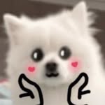 Kaitlyn Yang _mingrui👀 - @kaitlynyang0416 - Instagram