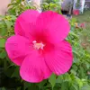kakama - @user4662520361166 - TikTok