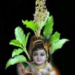 Kakoli Ray - @priya__varam550 - Instagram