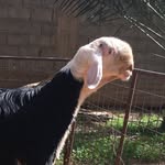 K_alsaab - @k_alsaab - Instagram
