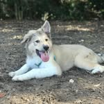 🐾 KALA 🐾 - @kala_back_girl - Instagram