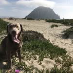 Kala - @kalabackgirl - Instagram