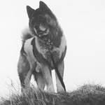 Kala Baxter - @killpop14 - Instagram