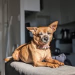 Kala Bennett - @bennersk - Instagram