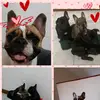 bruce.kala.loki - @bruce.kala.loki.loli - TikTok
