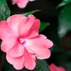 Driver Kalam - @driver.kalam - TikTok