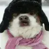 jaxon  - @kalani.hunt - TikTok