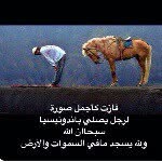 j-a_m@l_++alabdoly - @jamal_alabdoly - Instagram