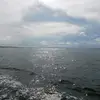 kalaparker633 - @kalaparker633 - TikTok