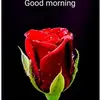Kala Ramesh955 - @kalaramesh955 - TikTok