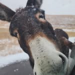 Kalan Townsend - @kalan_townsend - Instagram