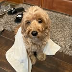 Kale Erickson - @kaleerickson45 - Instagram