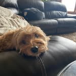 Kale Erickson - @kaleerickson23 - Instagram