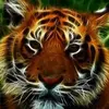 Kalen Erickson - @kalen.erickson - TikTok