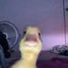 Kaleb Adams - @kalebadams057 - TikTok