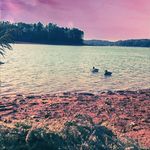 Kaleb Adams - @kaleb___adams - Instagram