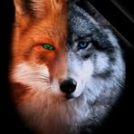 Kaleb Anthony - Facebook
