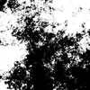 caleb.atkinson - @caleb.atkinson - TikTok