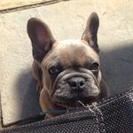 Kaleb Barnes - @kaleb0408 - Instagram