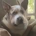 Caleb Bergman - Facebook