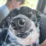 Kaleb Berry - @kalebberry852 - Instagram