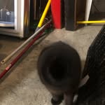 Kaleb Blankenship - @kaleb360840 - Instagram