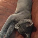 Kaleb - @kaleb_blankenship - Instagram