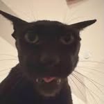 Kaleb Bowen - @kalebbowen8 - Instagram
