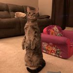 Kaleb bowen - @kaleb_bowen_________ - Instagram