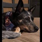 Kaleb Bowen - @dgarza04132018 - Instagram